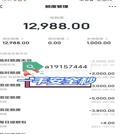 白条额度能提取吗？