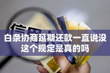 如何申请白条延期还款？