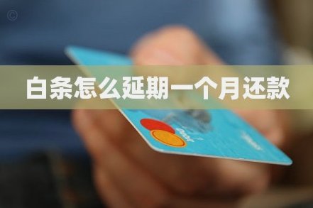 白条延期还款怎么申请