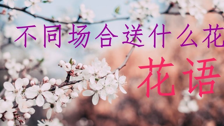 警惕！这些平台号称“秒到花呗”实为非法套现