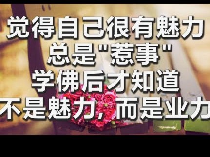 便荔卡包不让办停催怎么办