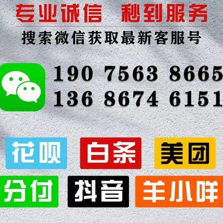 羊小咩怎么套出来?用户真实经验分享