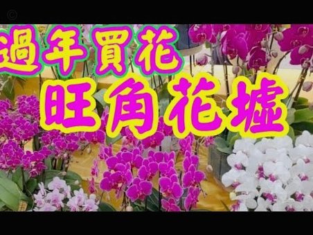 怎么讲花呗的钱提现