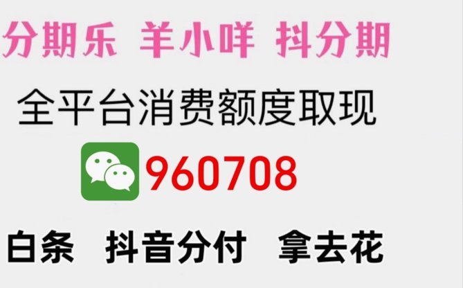 羊小咩还款最新指南