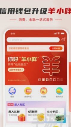 便荔卡包额度套现：操作流程、漏洞与法律红线解析