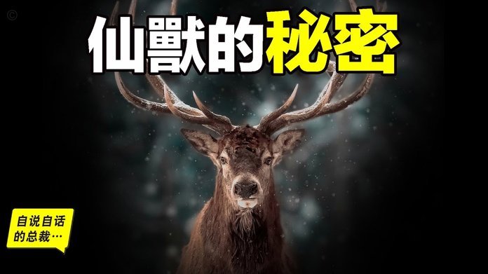 鹿优选六期改十二期：背后的金融博弈