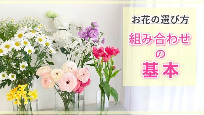 花呗如何识别套现行为？深度解析其背后的风控机制