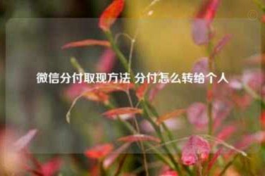 分付转账给个人：深度解析背后的资金流和风控机制