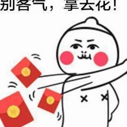 拿去花可以套出来吗