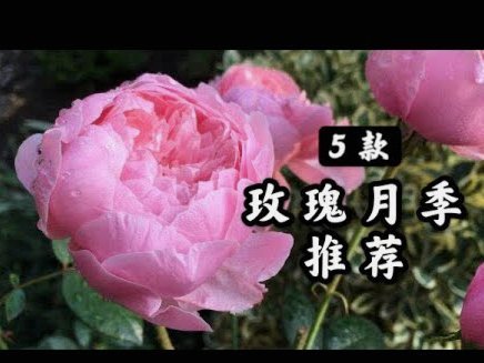 花呗怎样套现出来