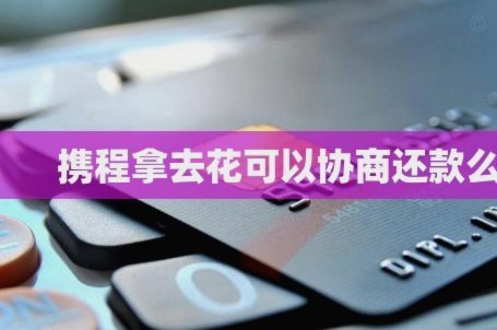 拿去花取现在哪里 出来还款
