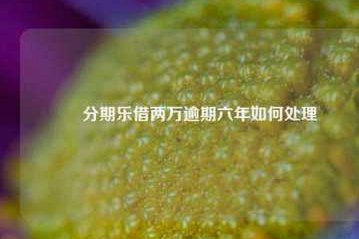 分期乐借2万还多少
