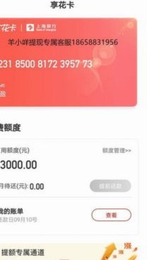 羊小咩享花卡怎么提高额度