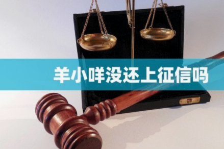 羊小咩正规吗