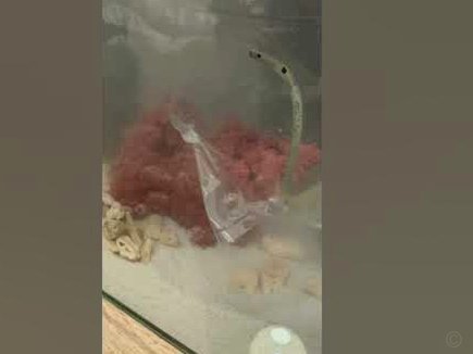 花呗借贷合法安全吗？了解一下