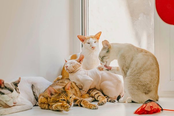 套取花呗2000手续费多少合理？