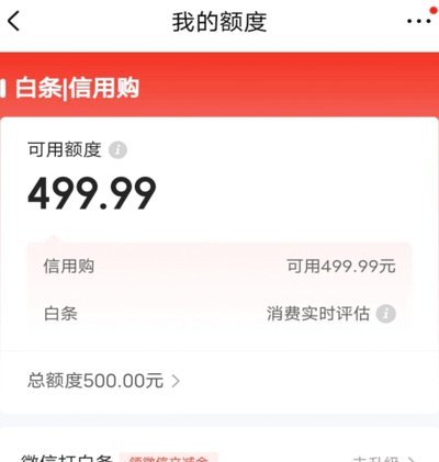 哪个平台支持白条支付？