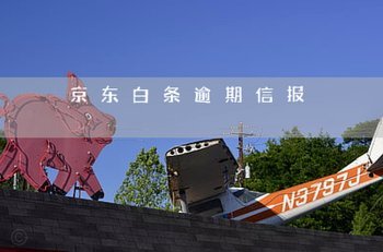 京东白条取现会有通知吗？解析多重提醒机制