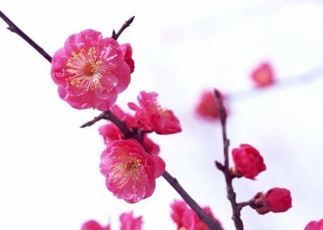如何正确关闭花呗账户？