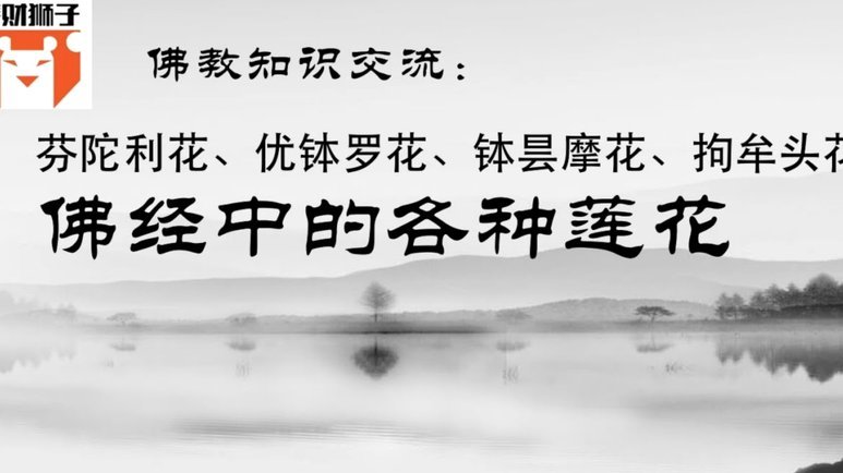 套花呗秒到的平台 套路有哪些