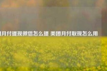 美团月付取现怎么弄 出来的