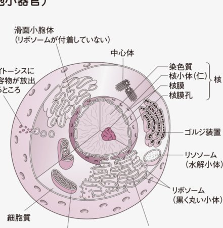 鹿平台网贷合规性解析