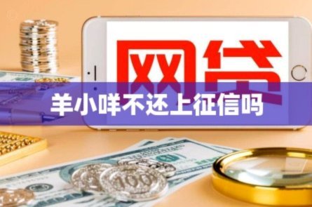 羊小咩购物额度怎么分期