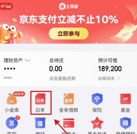 白条怎么借款