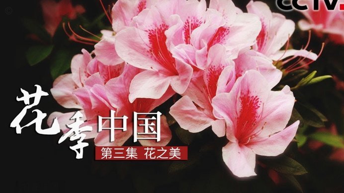 套现花呗平台 现金安全吗