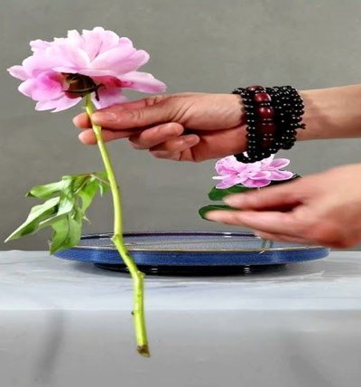 花呗提现要交手续费吗？